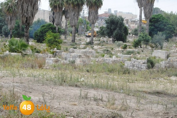 mo3askar naby sale7 (48).JPG